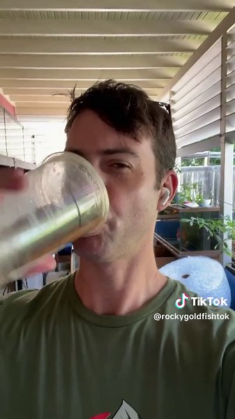 Awesome mini pond filter! Easy and save money! Goldfish/ koi pond with uv light, sponge, ceramic in one filtration system! #pondmaintenance #filtercleaning #goldfishbreeder #oranda #fancygoldfish