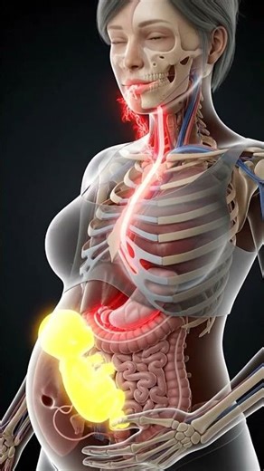 The pregnant woman #pregnancy #animation #3danimation #shortsfeed #pregnantpeople #pregnantpatients