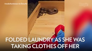 Mom Finds Venomous Snake Hiding in Son’s Underwear Drawer: 'Not Something You See Every Day'