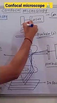 CONFOCAL MICROSCOPE #microscopy #confocalmicroscope #csir #assistantprofessor #botany #csirexam