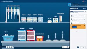 Gain a deeper understanding of laboratory protocols with our virtual simulations. | LabXchange