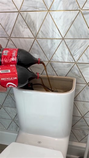 Coke and Mentos in the Toilet = Epic Explosion!