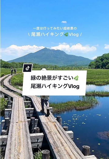 尾瀬ハイキングで出会う絶景の魅力
