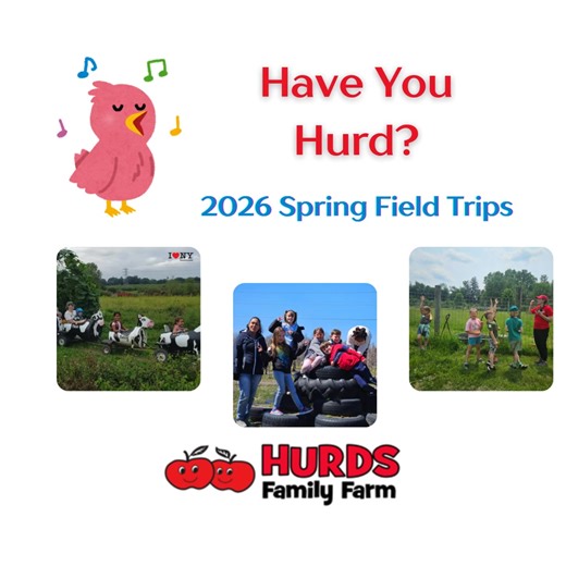 🌼 Looking for the perfect Spring Field Trip? Bring learning to life at Hurds Family Farm—where education meets fresh air and unforgettable fun! Our curriculum-friendly farm field trips are trusted by schools across the Hudson Valley, offering hands-on experiences that kids love and teachers appreciate. From meeting farm animals to exploring how apples grow, students learn through discovery, movement, and play. 👩‍🏫 Ideal for preschool & primary education 👨‍👩‍👧 Loved by parents & families 🌱
