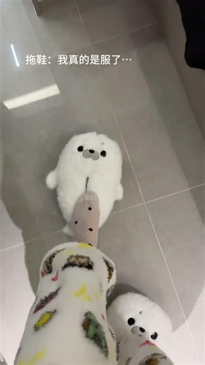 关于拖鞋长得像公仔这件事…#拖鞋 #小海豹 #毛茸茸