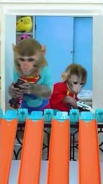 Monkey Baby Shark | Nursery Rhymes & Kids Songs |Bobby Kids Songs#animalshome #monkeybonbon #cutemon