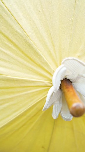 Exploring the Animal Kingdom with Professor Archimedes Q. Porter