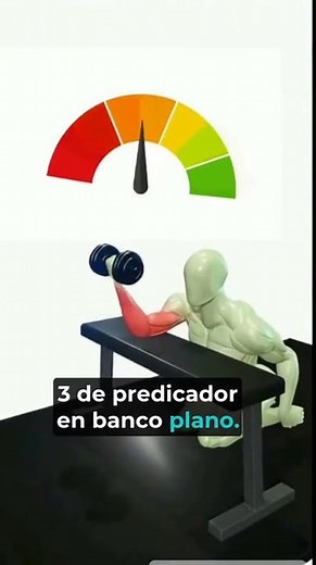 5 movimientos para bíceps más grandes y completos 💪 #biceps #gymtips #Shorts #cuerpofitnes