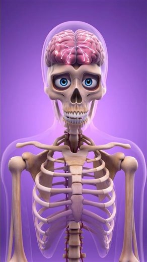 What Happens If You Develop Schizophrenia? 🧠 (Explained Simply) #anatomy #whatif #dailyhabits