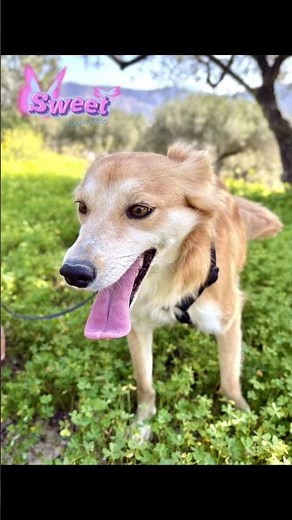 MONDAY MATCHMAKERS 💘 FRIDA