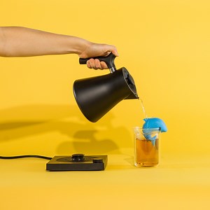 2.7K views · 48 reactions | Meet Corvo EKG, the newest member of our...