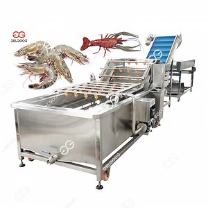 [Hot Item] Conveyor Belt Seafood Washing Machine Small Fish Cleaning Equipment Fish Cleaning Machine in India