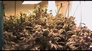 Meet Me in SF at Book Passage on 3/3 , 6pm to get an autograph copy of my book Becoming Legend, I need the whole Bay Area to pull up ! See you there | Berner