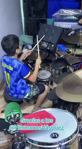 Implementación de instrumentos profesionales