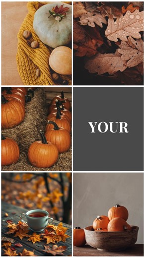 Leaves are falling... Don't let your gutters get clogged!  Enjoy 10% off gutter clean-outs this fall! #FallMaintenance #GutterCleanout #FallPrep #RoofCare #FallSavings | Roof Check Inc | Facebook