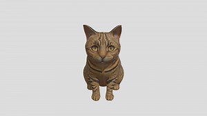 Realistic Stylized Tabby Cat 3D Model - 3D model by Cna99