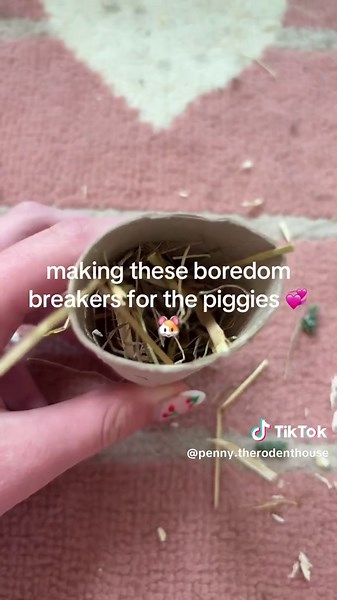 Creative DIY Boredom Breakers for Guinea Pigs