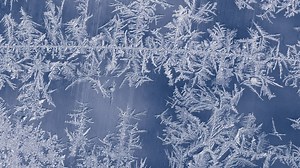 'Stan' added to the dictionary and 'peak' and 'snowflake' given new meanings