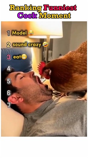 Funniest Rooster Moments Ever 😂🐔 #funny #animals #shorts