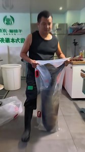 How Exporters Keep Large Fish Alive During Long Transport