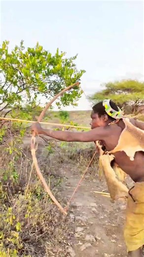 Sudden Encounter!Chaaba Prepares for the Deer Hunt अचानक सामना चाबा हिरण के शिकार की तैयारी करता है🏹