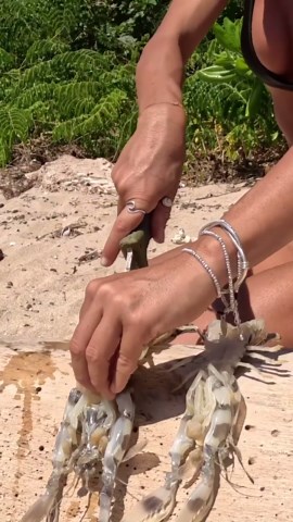 What happens when you catch a creature this wild