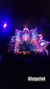 1.7K views · 28 reactions | Crystal matrix new year fungus funk | Psyganesh | Facebook