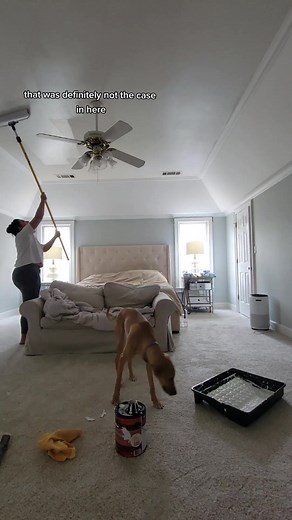 Maximize Your Primary Bedroom Seating with Thomasville Collection at Costco