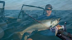 Episode 1, Season 19 Promo: Trolling Spin n Fish for Lake Ontario Salmon ​It’s no secret that Lake Ontario offers up some of the best salmon fishing action on planet Earth. This week on Fishing 411 TV, Mark and Jake Romanack travel to the familiar waters of western Lake Ontario. The waters are familiar, but this visit is set during a very different time of year than the crew usually fishes Lake O. Spring time is when everyone flocks to Lake Ontario, but it’s the summer months that offer up a “sl