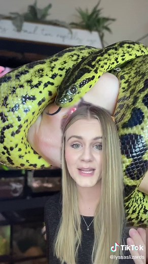 Reptile Q&A with Expert: All You Need to Know about Snakes and Lizards!