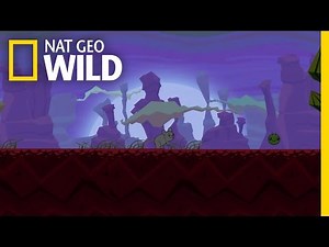 Howling Mouse | Nat Geo Wild