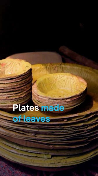 Plates made of leaves