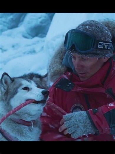 446K views · 10K reactions | Eight dogs trapped in Antarctic in 175 days #movieclips #viralvideo #cttocredittotherightfulowner | Manilyn Esmade Elumba | Facebook