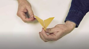 Not your average paper airplane — Harvard Gazette