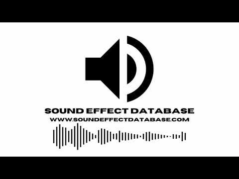 Double wet slap sound effect