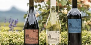 Amazon Is Selling Its Own Private Label Wines Now