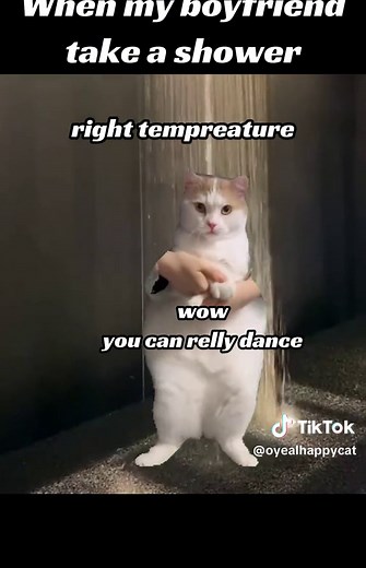 Funny Cat Memes Compilation | Shower Surprise