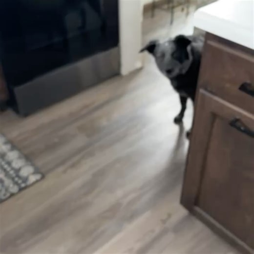 Andrea • That Fit Agvocate on Reels