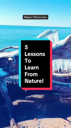 5 Lessons to Learn from Nature for Personal Growth