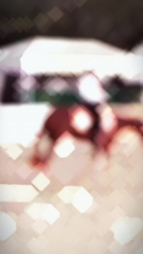 Get ready for the Florida Gold Coast Quarter Horse Circuit at the Bob Thomas Equestrian Center in Tampa (FL)!