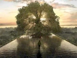 In The Midst Of Paradise | Jason Bellard