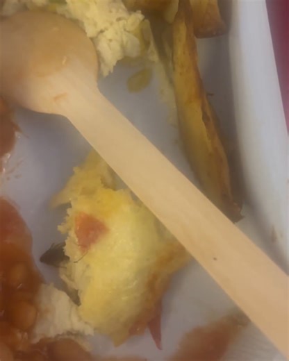 13K views · 106 reactions | An Instagram user shared a video claiming she had found a cockroach in her meal. The footage soon goes viral among netizens. However, Air India has responded to the incident and expressed concern over it. However, Times Now cannot verify the authenticity of the video. #AirIndia #Coachroach #Meal #Viral Video Courtesy: Instagram | TIMES NOW | Facebook