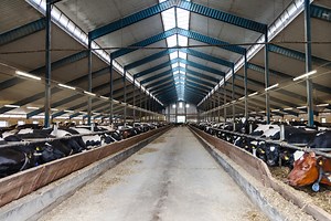 Damp Proof da LEDVANCE