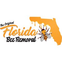 Clearwater | Florida Bee Removal