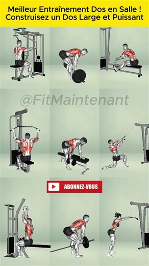 Meilleur Entraînement Dos en Salle 🏋️‍♂️ 🔥Construisez un Dos Large et Puissant #gainage #doslarge