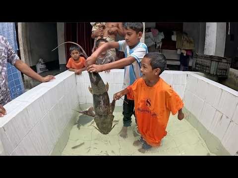 Dropping Coins Orbeez in Fish Tank Mega Aquarium Cleaning