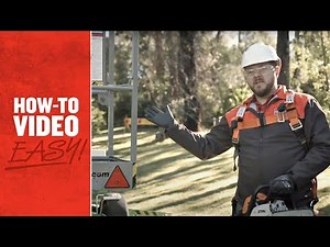 How to Remove a Large Tree