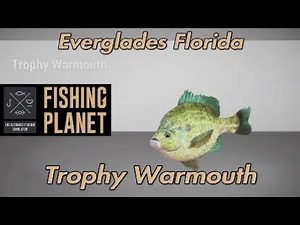 Fishing Planet Trophy Warmouth Everglades Florida