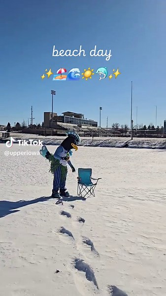 When Pete says we have spring break at home. 🦚❄️🌴 #springbreak #feathersup #beachday
