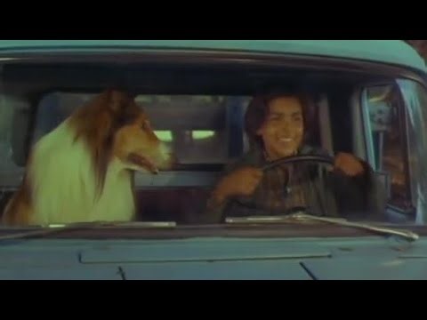 Lassie - Adventures Of Neeka (1968) full movie - another boy with Lassie